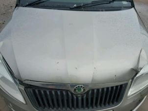 Skoda Fabia II 1.2i Sloopvoertuig (2010, Metallic, Beige)
