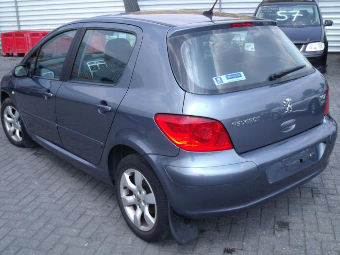 Peugeot 307 1.6 HDi 16V Sloopvoertuig (2007, Grijs)