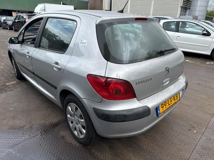 Peugeot 307 1.6 16V Sloopvoertuig (2002, Grijs)