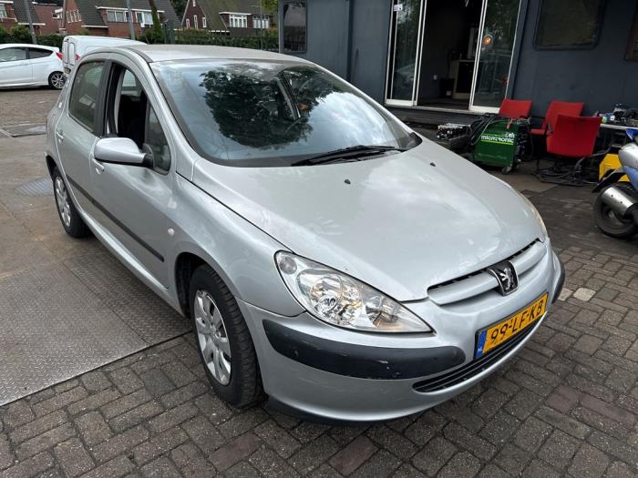 Peugeot 307 1.6 16V Sloopvoertuig (2002, Grijs)