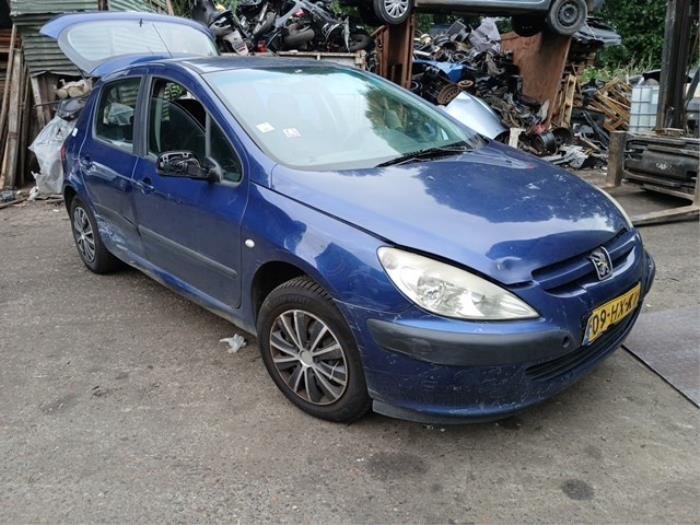 Peugeot 307 1.6 16V Sloopvoertuig (2002, Blauw)