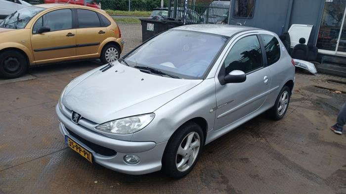 Peugeot 206 1.4 16V Sloopvoertuig (2004, Grijs)