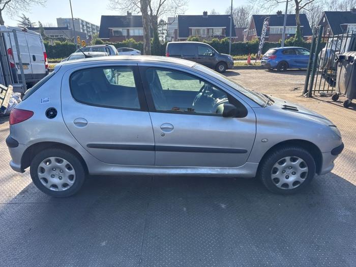 Peugeot 206 1.4 16V Sloopvoertuig (2005, Grijs)