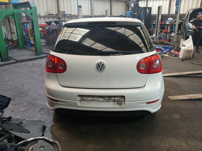 Volkswagen Golf V 1.9 TDI Sloopvoertuig (2004)