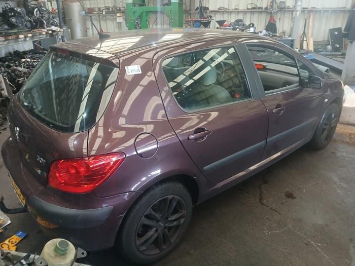 Peugeot 307 1.6 16V Sloopvoertuig (2006, Paars)