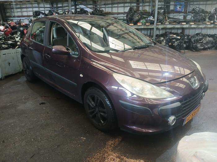 Peugeot 307 1.6 16V Sloopvoertuig (2006, Paars)