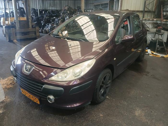 Peugeot 307 1.6 16V Sloopvoertuig (2006, Paars)