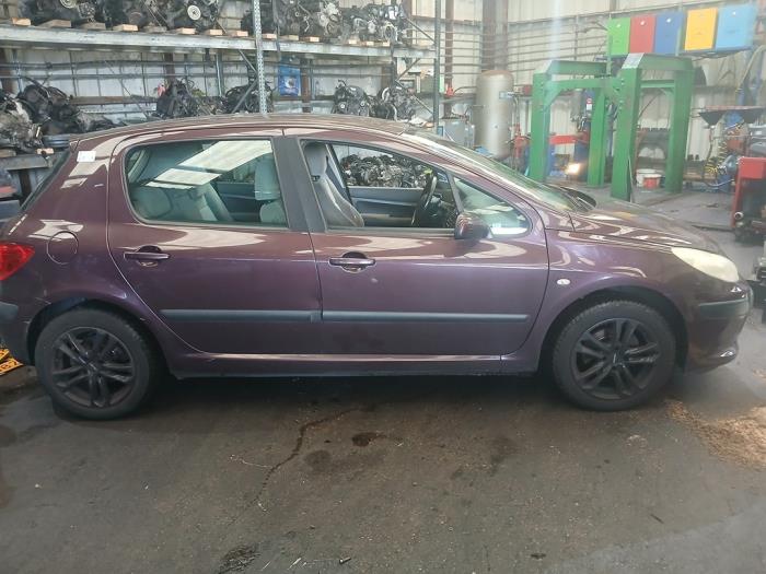 Peugeot 307 1.6 16V Sloopvoertuig (2006, Paars)