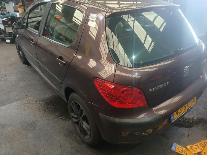 Peugeot 307 1.6 16V Sloopvoertuig (2006, Paars)