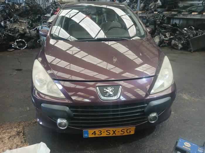 Peugeot 307 1.6 16V Sloopvoertuig (2006, Paars)