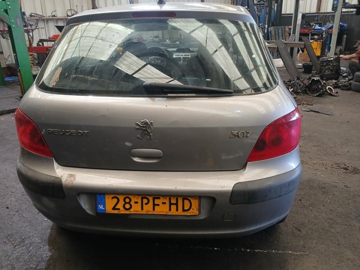 Peugeot 307 1.4 16V Sloopvoertuig (2004, Grijs)