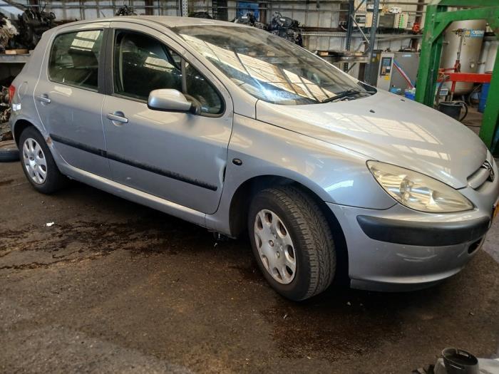 Peugeot 307 1.4 16V Sloopvoertuig (2004, Grijs)