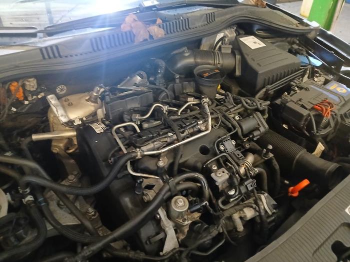 Seat Ibiza ST 1.2 TDI Ecomotive Sloopvoertuig (2011, Grijs)