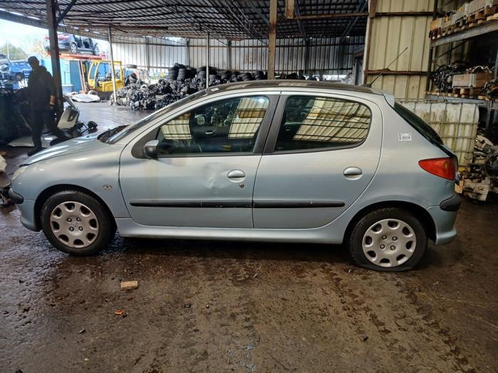 Peugeot 206 1.4 16V Sloopvoertuig (2004, Grijs)