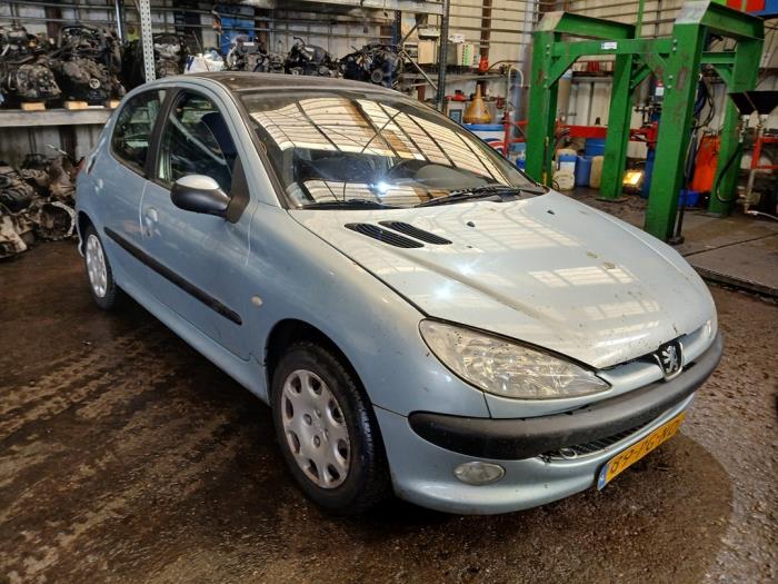 Peugeot 206 1.4 16V Sloopvoertuig (2004, Grijs)