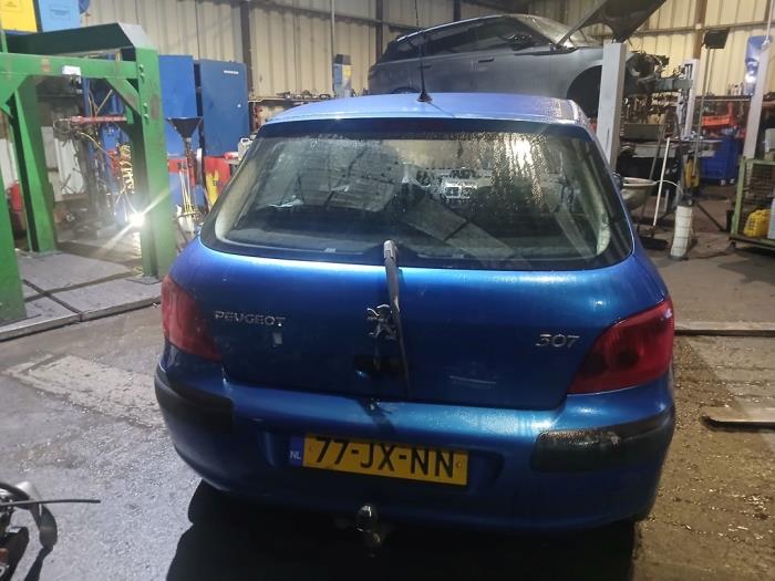Peugeot 307 1.6 16V Sloopvoertuig (2002, Blauw)