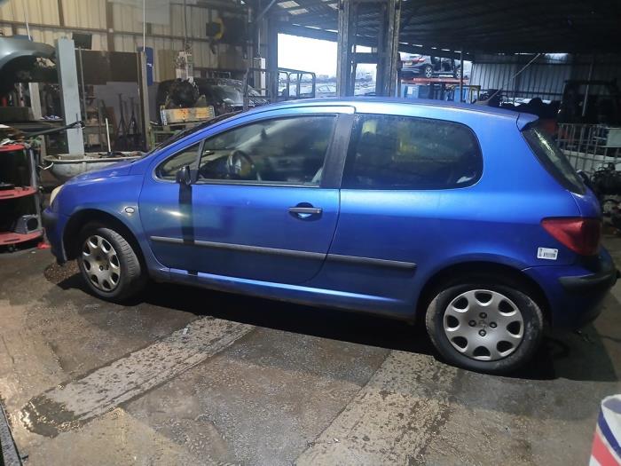 Peugeot 307 1.6 16V Sloopvoertuig (2002, Blauw)