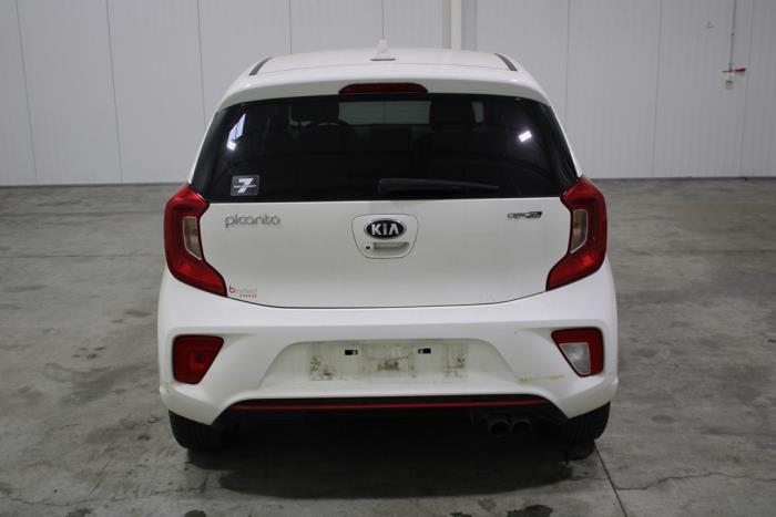auto