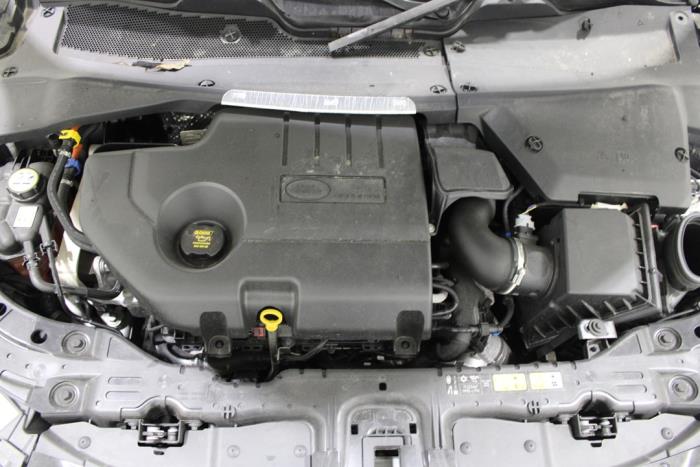 auto