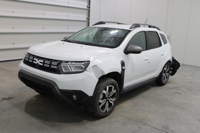 Duster (SR), SUV, 2017 / 2024