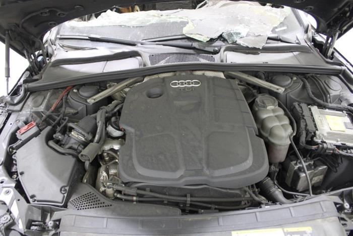 auto