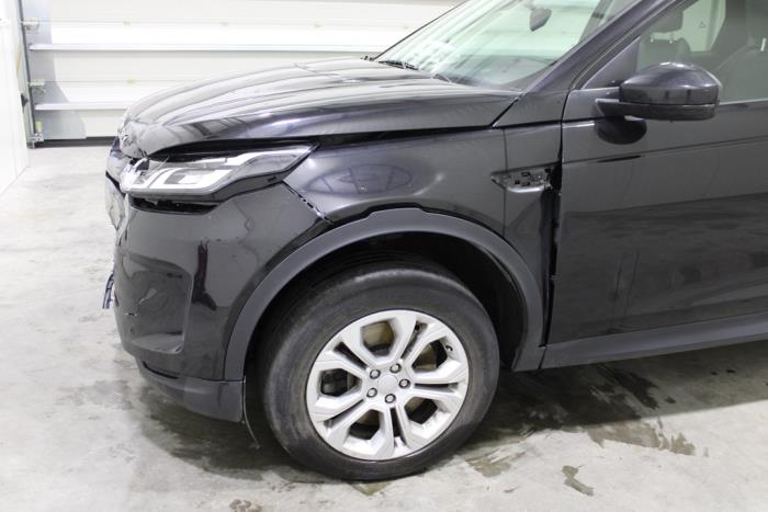 auto