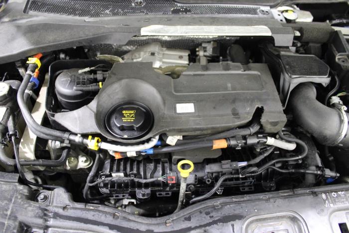 auto
