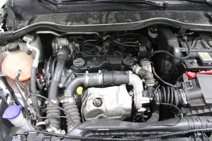 auto