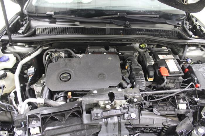 auto