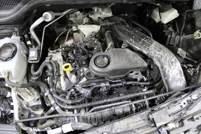 auto