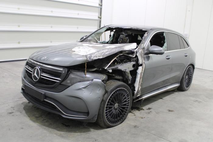 EQC (N293), SUV, 2019 / 2023