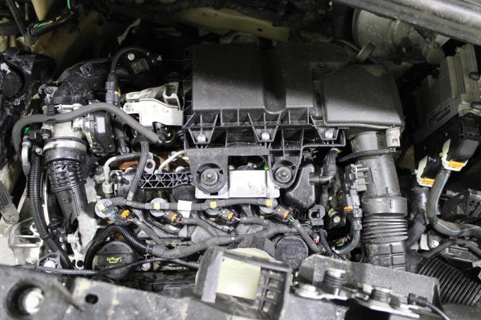 auto