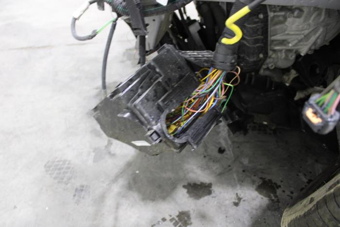 auto