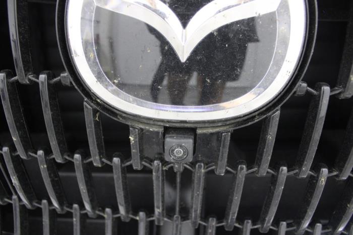 auto