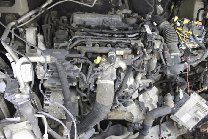 auto