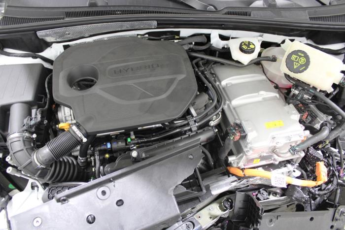 auto