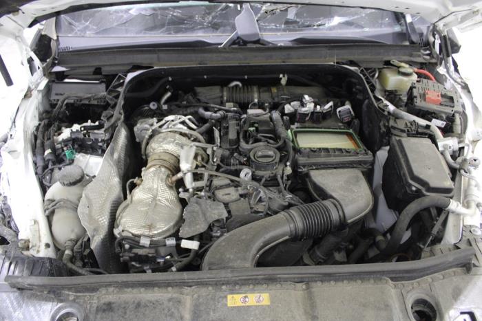 auto