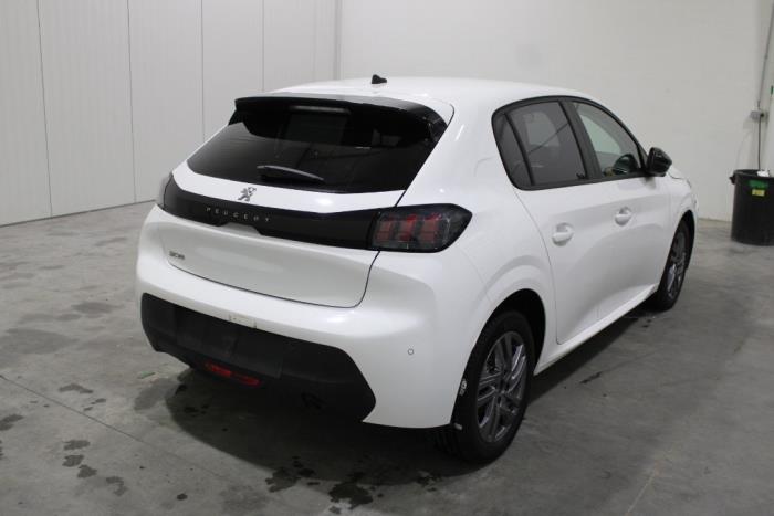 auto