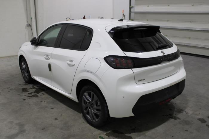 auto