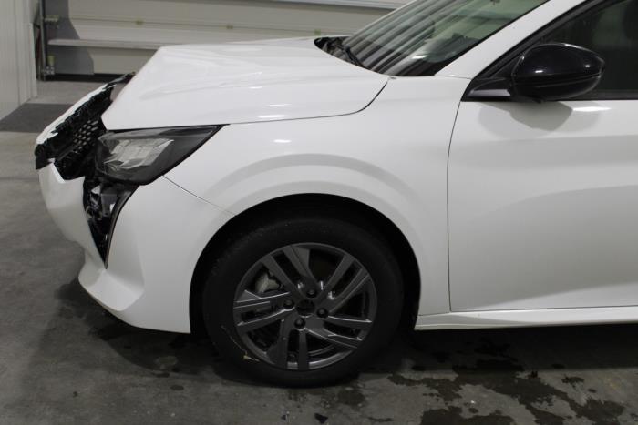 auto