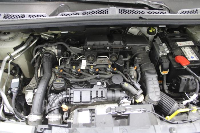 auto