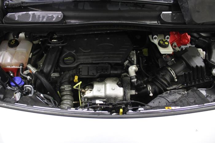 Ford Transit Connect 1.5 EcoBlue Sloopvoertuig (2018, Grijs)