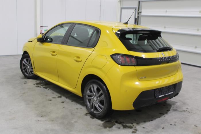 auto