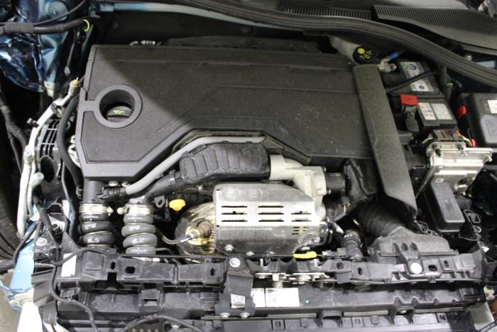 auto