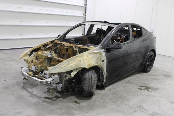 Model Y, SUV, 2025