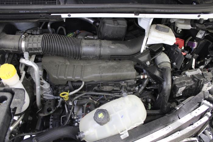 auto