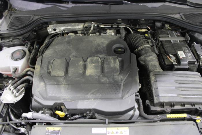 auto