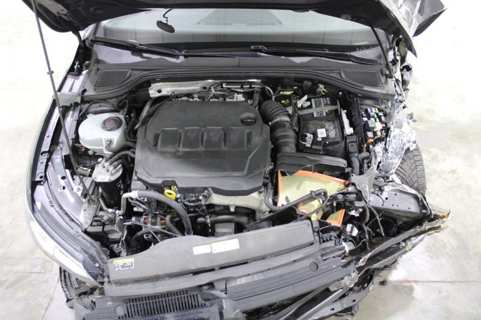 auto