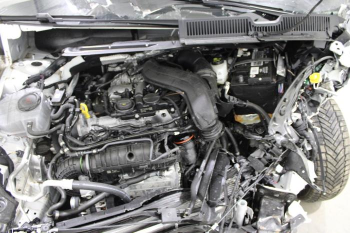 auto