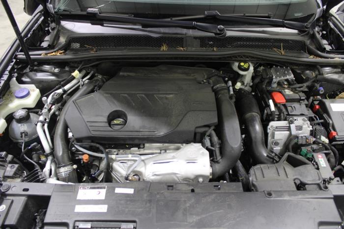 auto